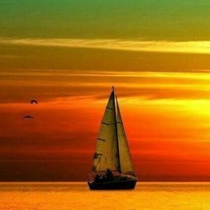 Meet your Posher, Tracey